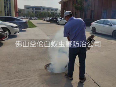 白坭登革热防控消杀工程